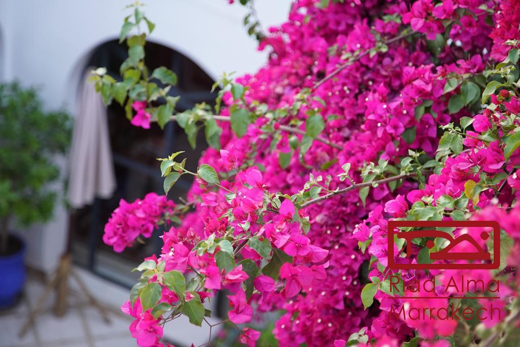 Riad Alma Marakeş Dış mekan fotoğraf