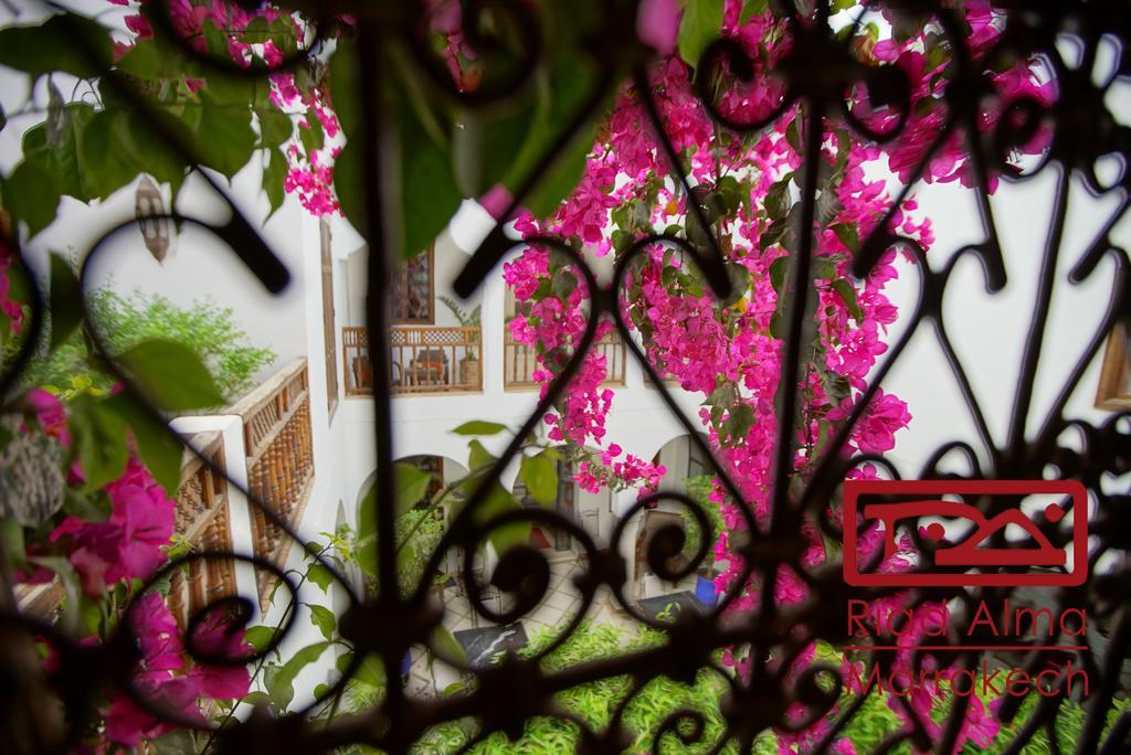 Riad Alma Marakeş Dış mekan fotoğraf